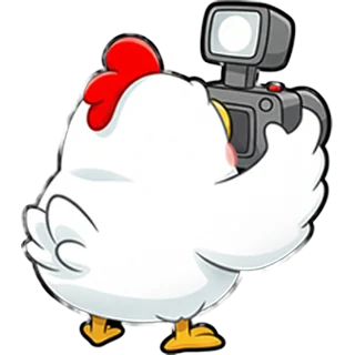 Pui cameraman – Chicken Road Race