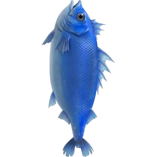 Pește albastru – Ice Fish