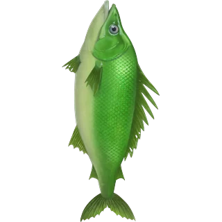 Pește verde – Ice Fish
