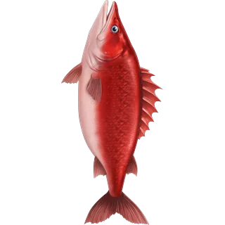 Pește roșu – Ice Fish